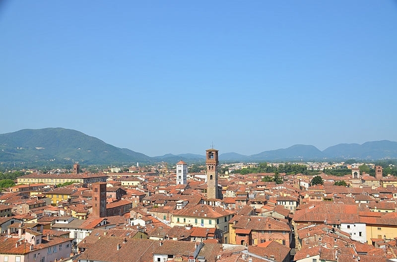 070_Italien_Toskana_Lucca_Torre_Guinigi.JPG