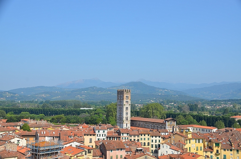 076_Italien_Toskana_Lucca_Torre_Guinigi.JPG