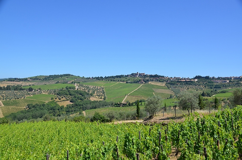 195_Italien_Toskana_Chianti.JPG