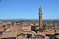 239_Italien_Toskana_Siena
