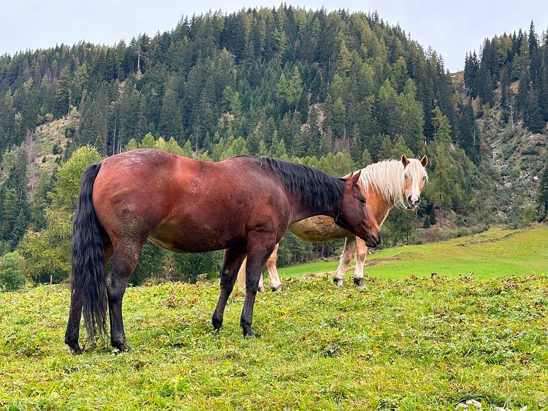 060_Italien_Suedtirol_Ahrntal.JPG