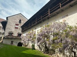 015_Italien_Suedtirol_Dolomiten_Burg_Rodenegg