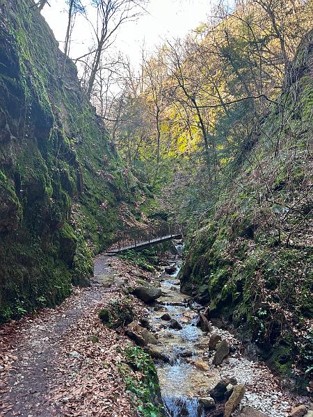 100_Italien_Suedtirol_Rastenbachklamm.JPG