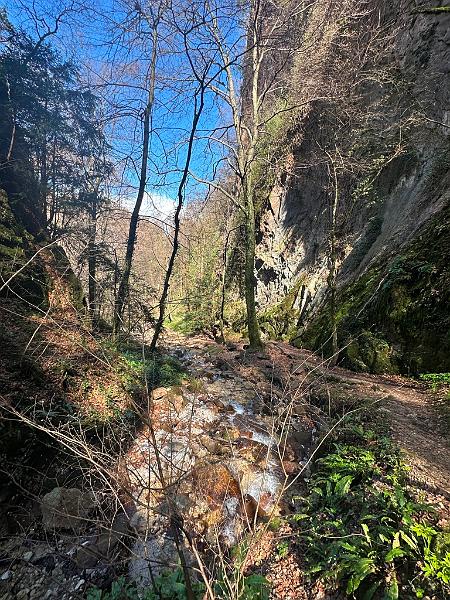 101_Italien_Suedtirol_Rastenbachklamm.JPG