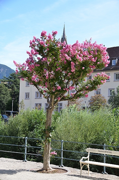 099_Meran.JPG