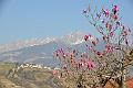 084_Italy_Meran