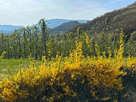 004_Italien_Suedtirol_Schernag