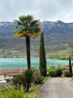 084_Italien_Suedtirol_Kalterer_See