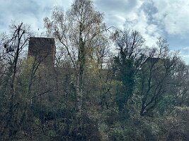 115_Italien_Suedtirol_Missian_Burgenweg