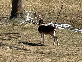 143_Italien_Suedtirol_Eggerhof