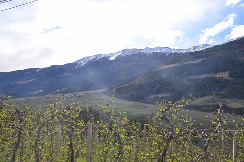 006_Italien_Suedtirol_Vinschgau.JPG