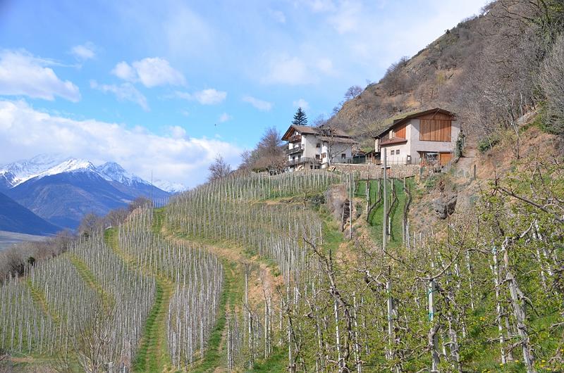 012_Italien_Suedtirol_Vinschgau.JPG