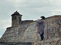 072_Colombia_Cartagena_San_Felipe_de_Barajas_Fort
