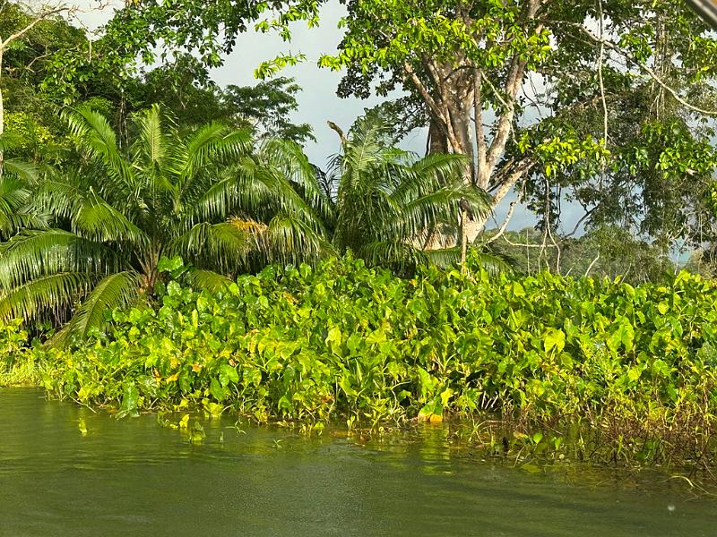 269_Panama.JPG