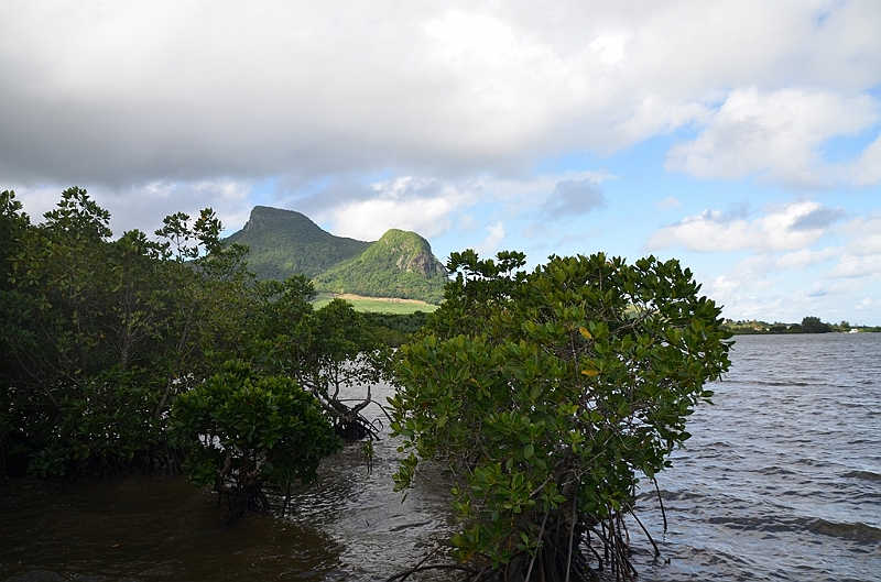 036_Mauritius_South_East_Mangroves.JPG