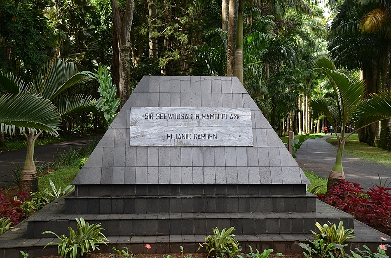 051_Mauritius_North_Sir_Seewoosagur_Ramgoolam_Botanical_Gardens01.JPG