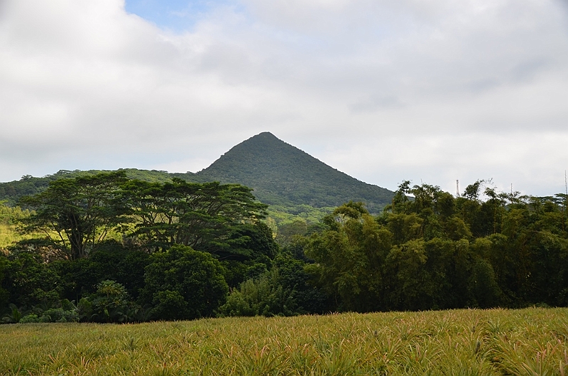 115_Mauitius_South_Black_River_Gorges_NP.JPG