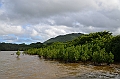039_Mauritius_South_East_Mangroves