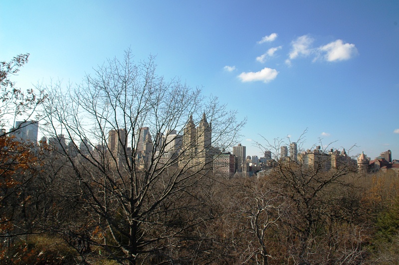 160_New_York_Central_Park.JPG