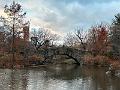 114_USA_New_York_City_Central_Park