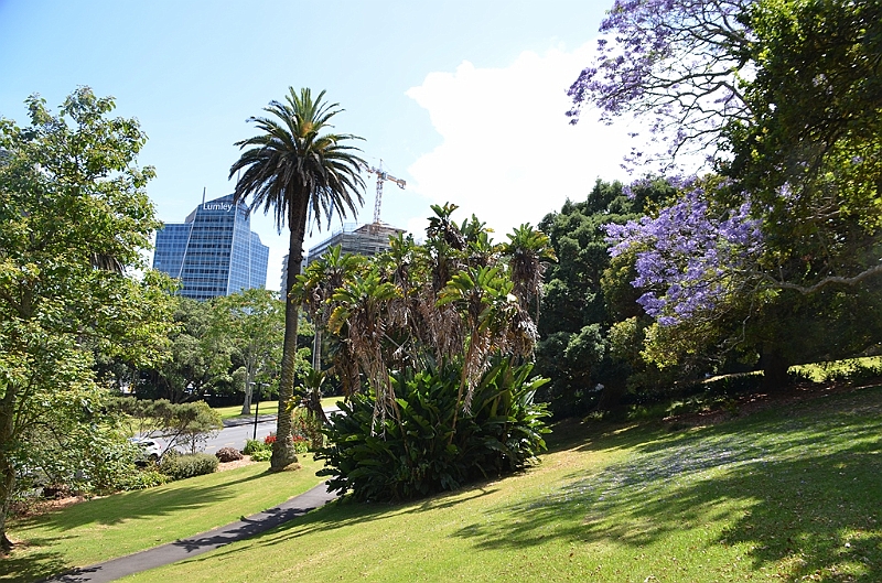 052_New_Zealand_Auckland_Albert_Park.JPG