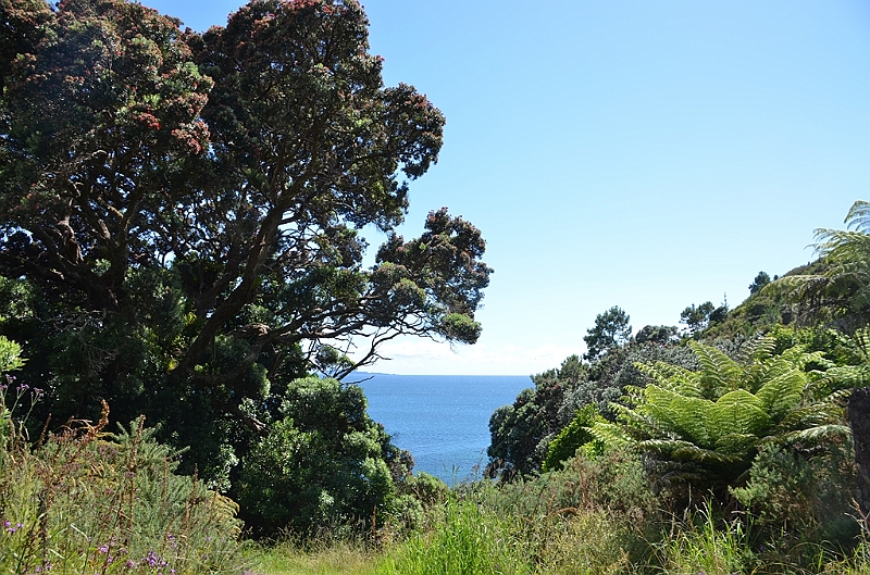 041_New_Zealand_Coromandel_Peninsula.JPG