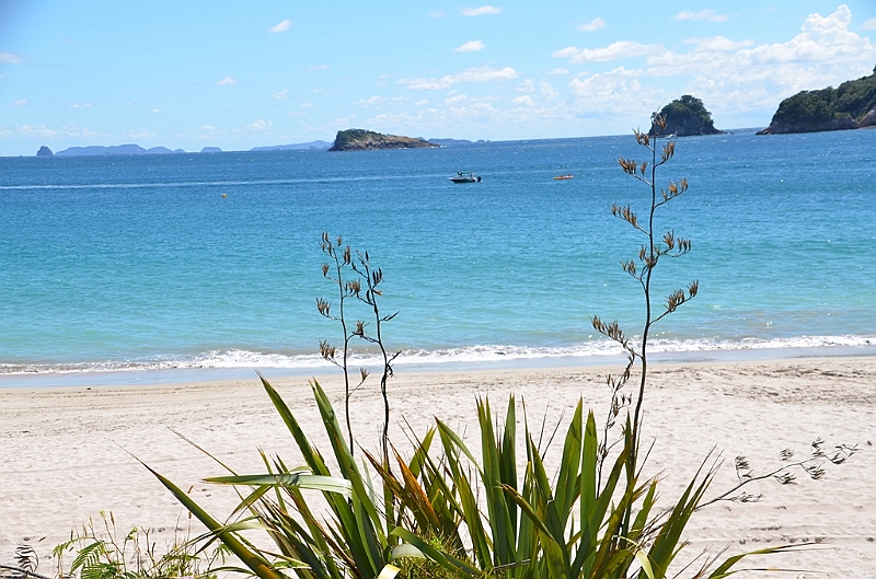 053_New_Zealand_Coromandel_Peninsula.JPG