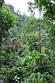 100_Papua_New_Guinea_Tufi
