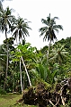 131_Papua_New_Guinea_Tufi