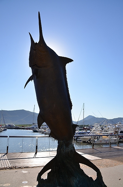014_Australia_Cairns.JPG