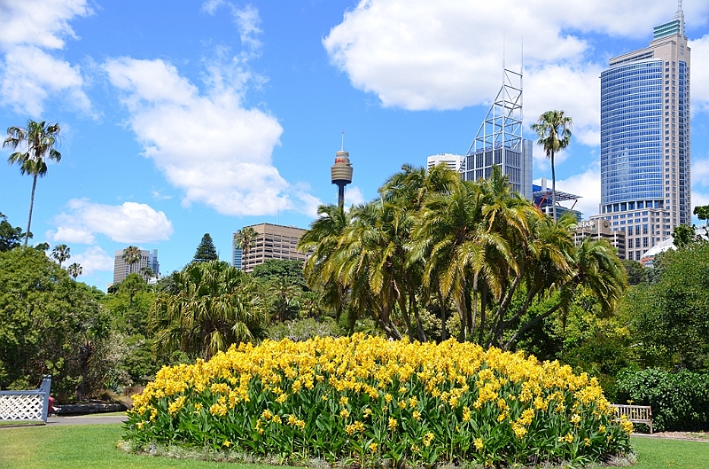 068_Australia_Sydney_Royal_Botanic_Gardens.JPG