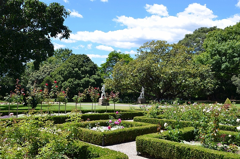 084_Australia_Sydney_Royal_Botanic_Gardens.JPG