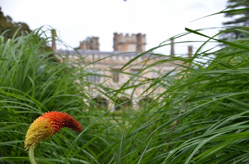 088_Australia_Sydney_Royal_Botanic_Gardens.JPG