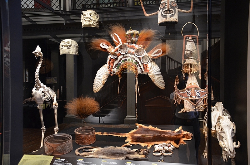 183_Australia_Sydney_Australian_Museum.JPG