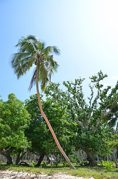 066_Vanuatu_Paradise_Lagoon.JPG