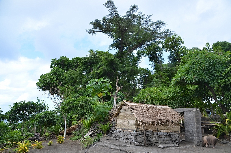 136_Vanuatu_Tanna_Island.JPG