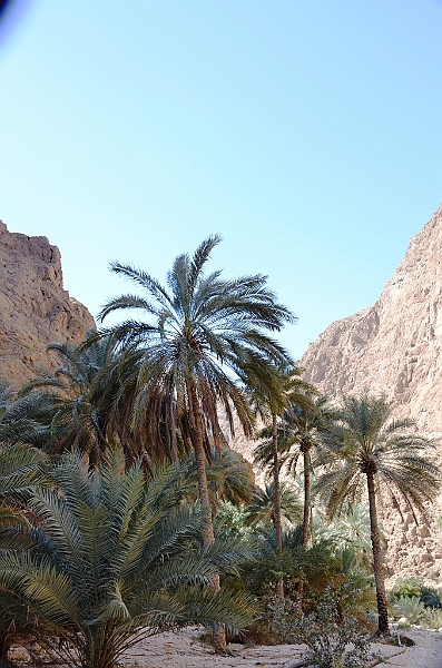 122_Oman_Wadi_Shab.JPG