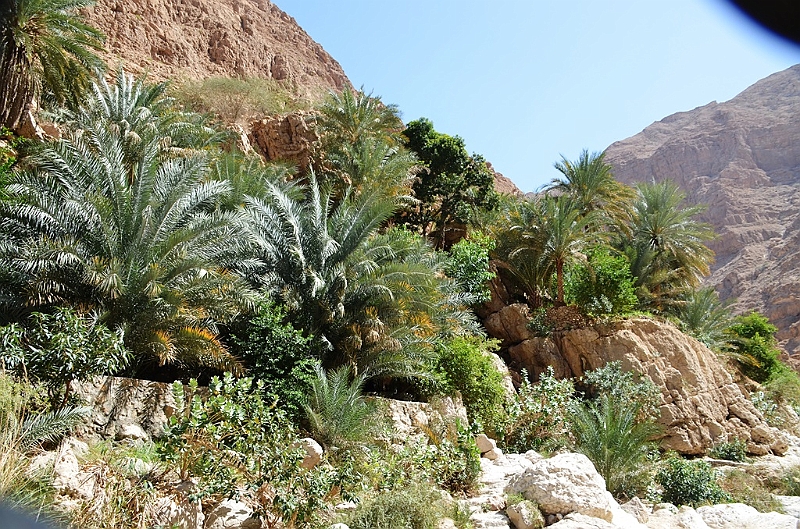 142_Oman_Wadi_Shab.JPG