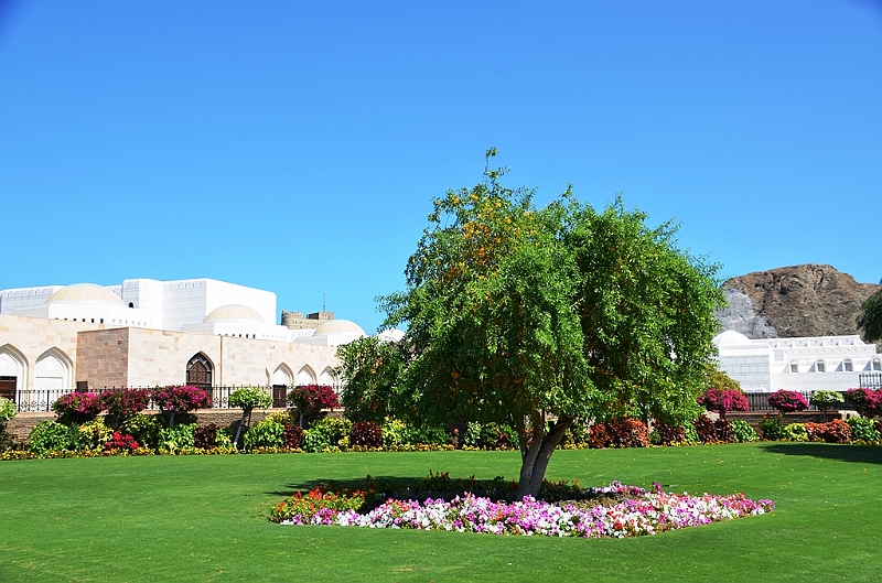 325_Oman_Muscat.JPG