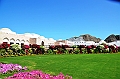 324_Oman_Muscat