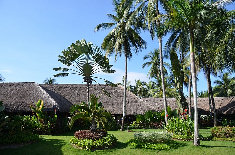 131_Philippines_Bohol_South_Palms_Resort_Panglao.JPG