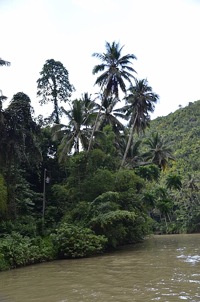 215_Philippines_Bohol_Loboc_River_Cruise.JPG
