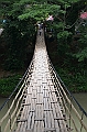 210_Philippines_Bohol_Hanging_Bridge