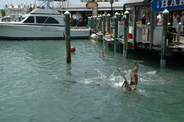 099_USA_Key_West.JPG