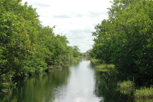 201_USA_Everglades_National_Park.JPG