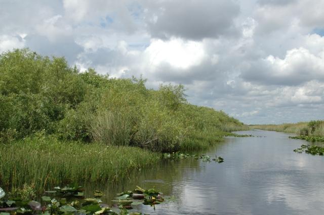 206_USA_Everglades_National_Park.JPG