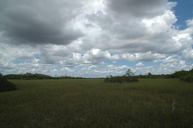 215_USA_Everglades_National_Park.JPG