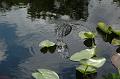 199_USA_Everglades_National_Park