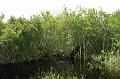 202_USA_Everglades_National_Park