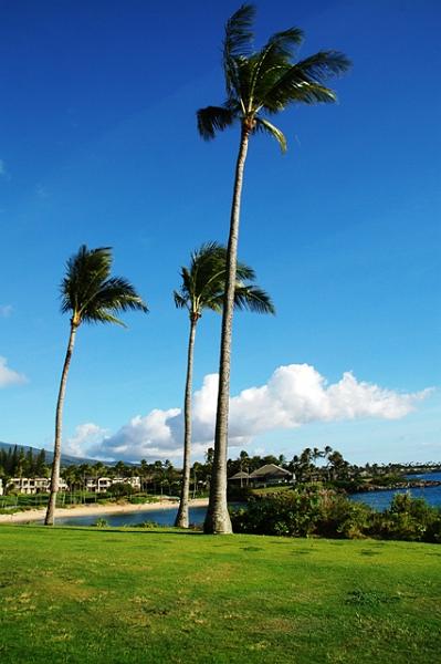 345_USA_Hawaii_Maui_Kapalua.JPG